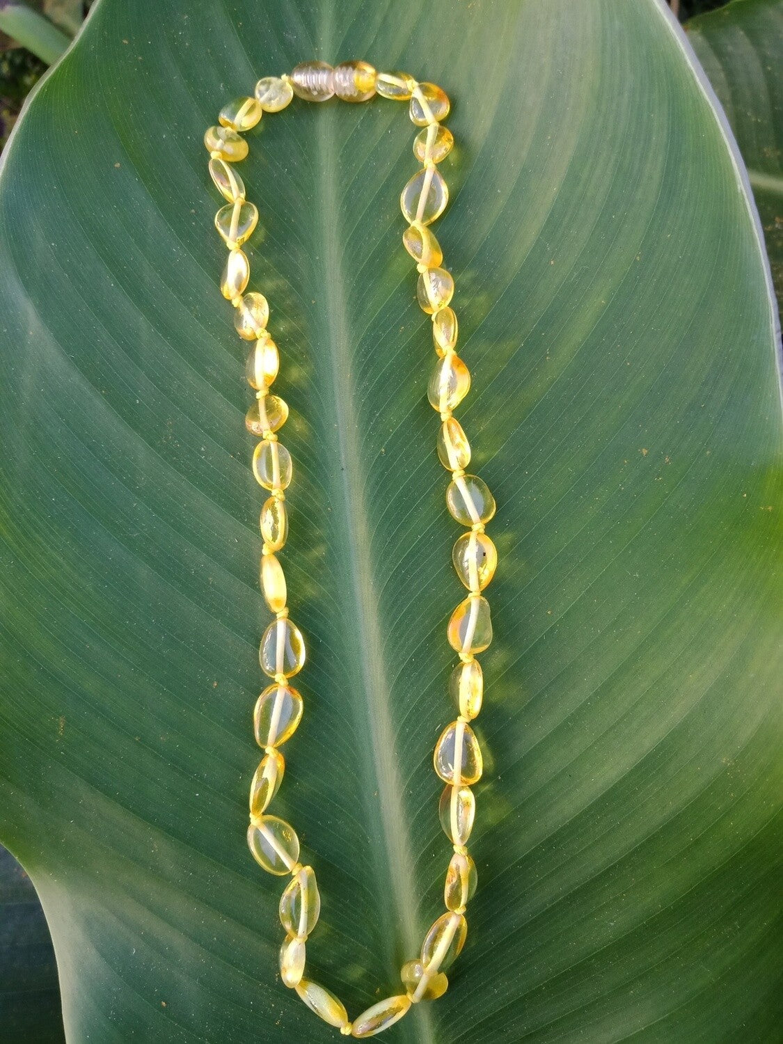 Amber Necklace Oval Bead