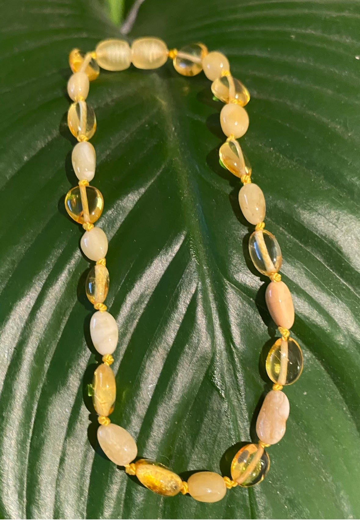 Amber Elastic Bracelet Olive Bead