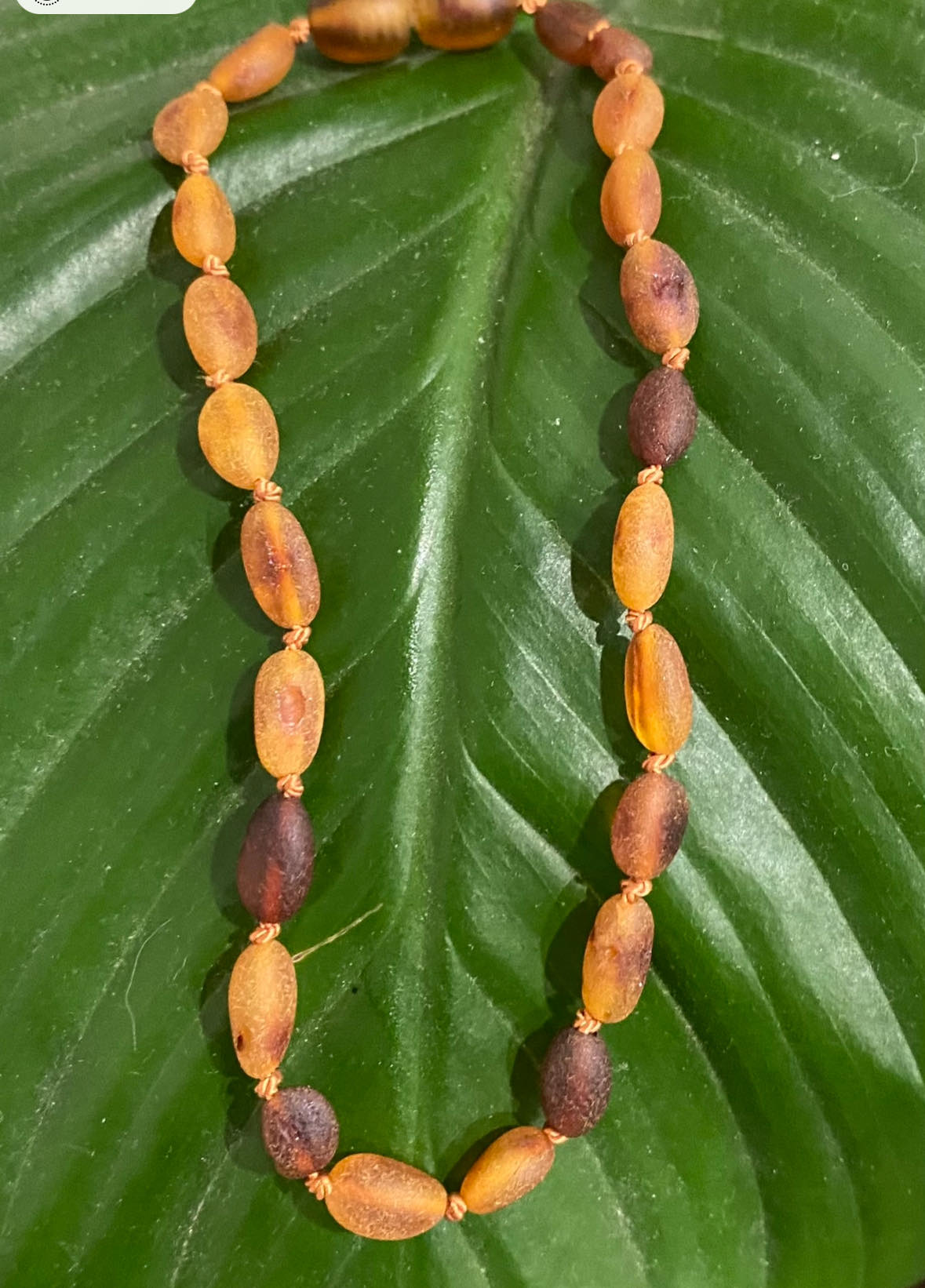Amber Elastic Bracelet Olive Bead